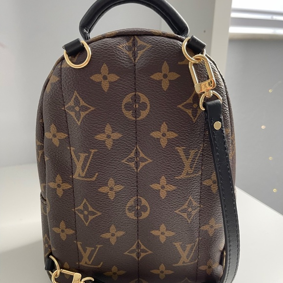 Louis Vuitton Mini Palm Springs Leather Monogram Backpack main image 4
